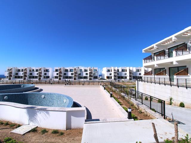 Daire Girne, 224394