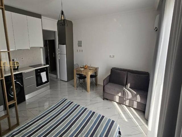 Daire İskele, 225427