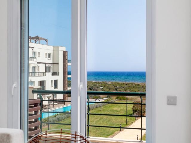 Daire İskele, 227033