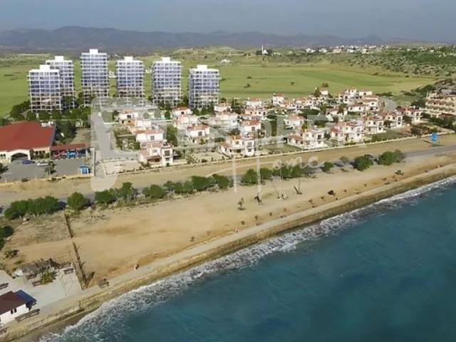 Daire İskele, 227964