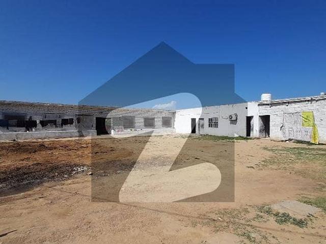 Dairy Farm Available For Rent