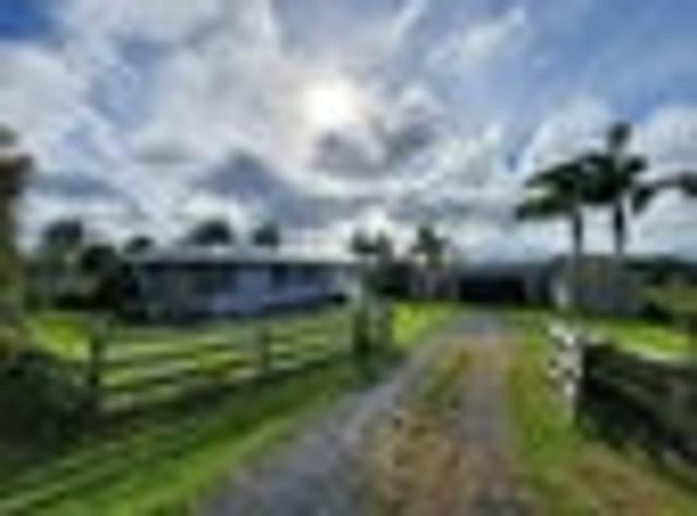 Dairy Flat, 3 bedrooms, $990 pw