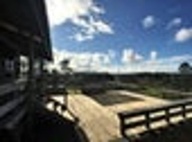 Dairy Flat, 5 bedrooms, $1100 pw