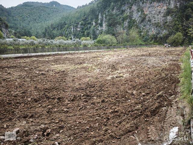 DALYAN OKÇULAR SATILIK 3240 M LİMON BAHÇESİ