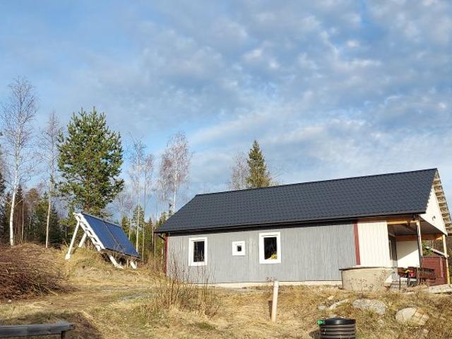 Dala, Skog