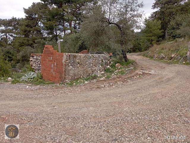 DALAMAN KAPIKARGIN MAH SATILIK ARAZİ