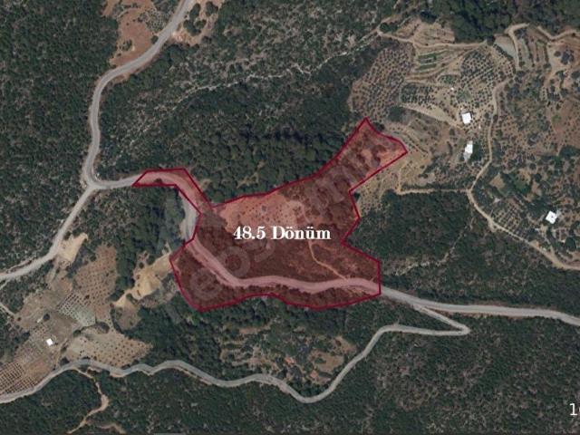 DALAMAN KIZILKAYA 48.5 DÖNÜM Kazançlı Arazi Fırsatı.