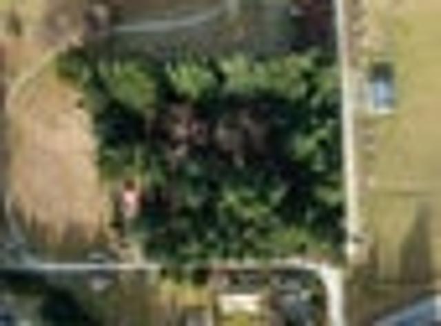 Dalefield Lifestyle Opportunity As Is, Where Is