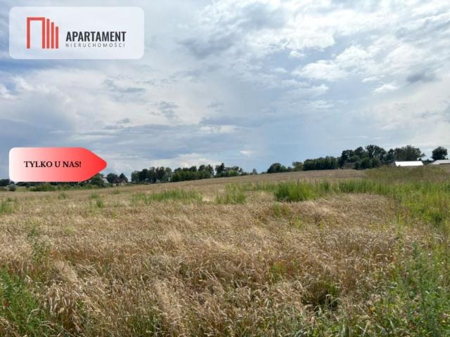 Dalii 3 047 m², Gołębiewo Wielkie