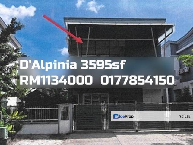 D'Alpinia