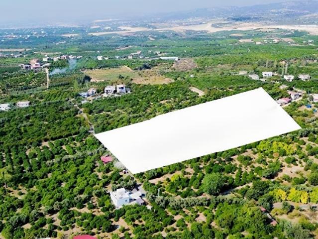 DAP QUALİTY'DEN TÖMÜK'TE YATIRIMLIK 7.500m2 LİMON BAHÇESİ