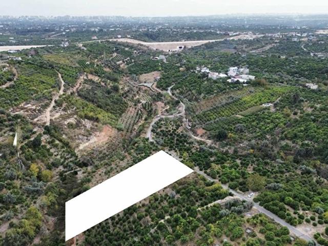 DAP QUALİTY'DEN TÖMÜKTE SATILIK 3000m2 YATIRIMLIK TEK TAPU TARLA