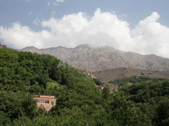Dar Amalou Auberge familiale a Imlil 950 dhs