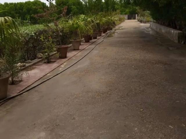 Dariy farm cattle farm mini zoo family farm Karachi Gulshan e Maymar ID 56049