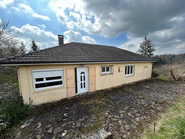 Darney Vente Maison 88
