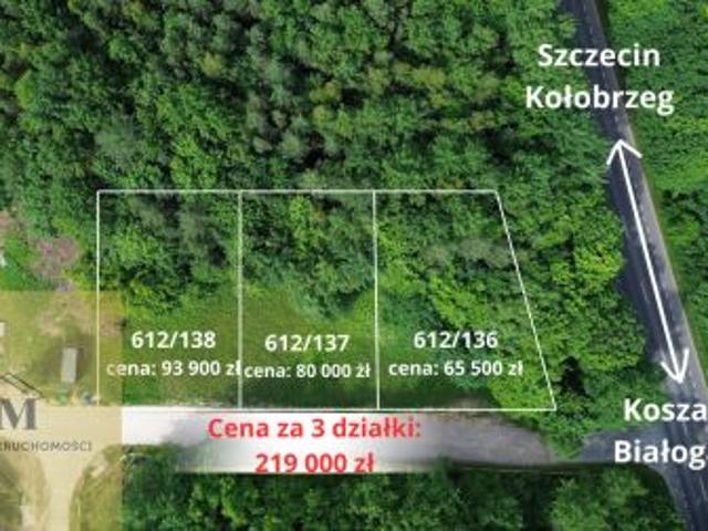 Daszewo, 4312 m² Działka