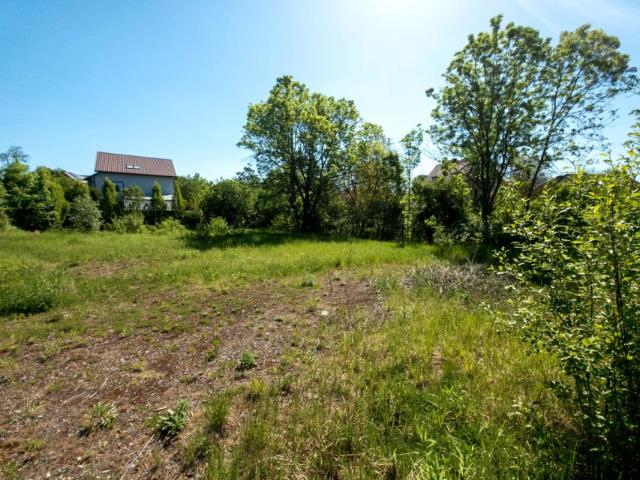 Daszyńskiego 1 634 m², Gliwice