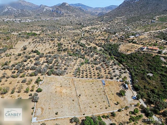 Datça Yazı'da 6.720 m2 bademlik ve narenciye bahçesi