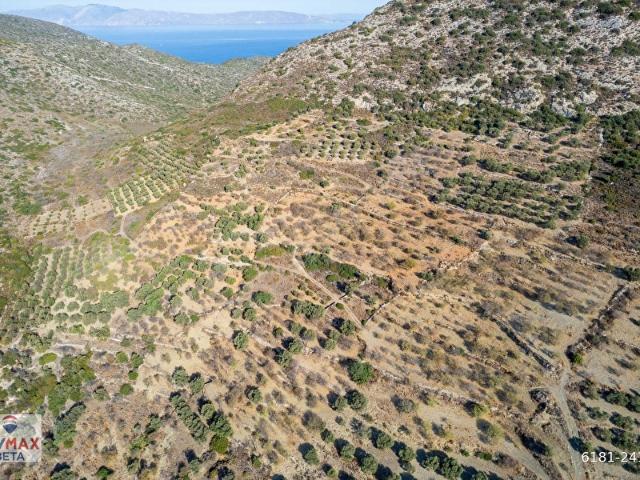 DATÇA YAZI MAH. 2659M SATILIK BADEMLİ TARLA