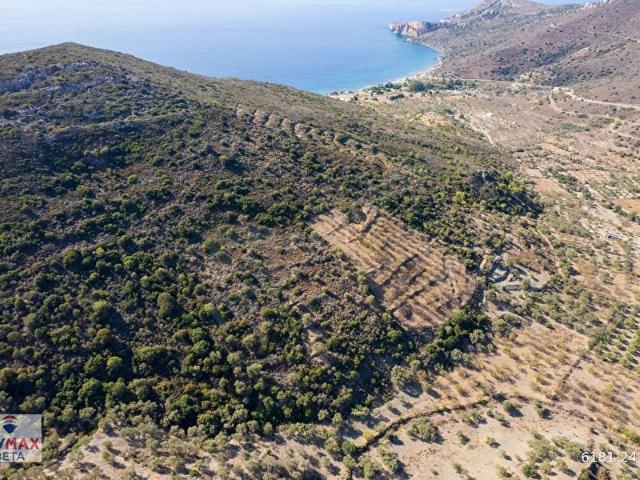 DATÇA YAZI MAH. 3.172M SATILIK TARLA