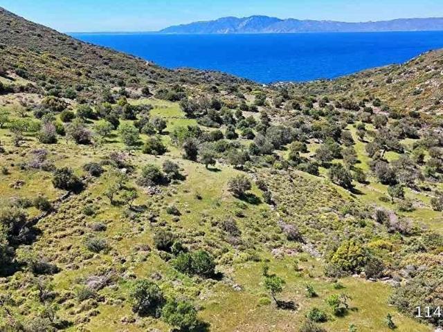 DATÇA YAZI'DA SATILIK TARLA TINY HOUSE'A UYGUN YOLU VAR