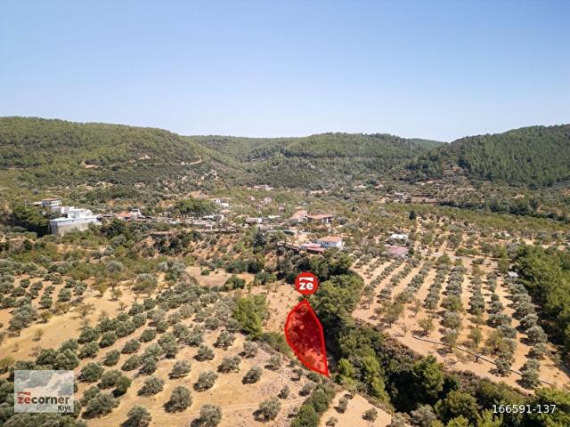 DATÇA ZEYTİNCİK DE 1200 M SATILIK ARSA