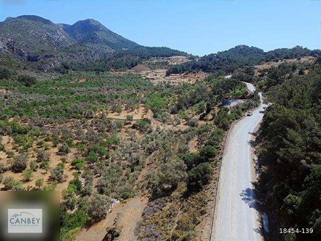 Datça Zeytincik'te anayola cepheli 6.660 m2 tarla