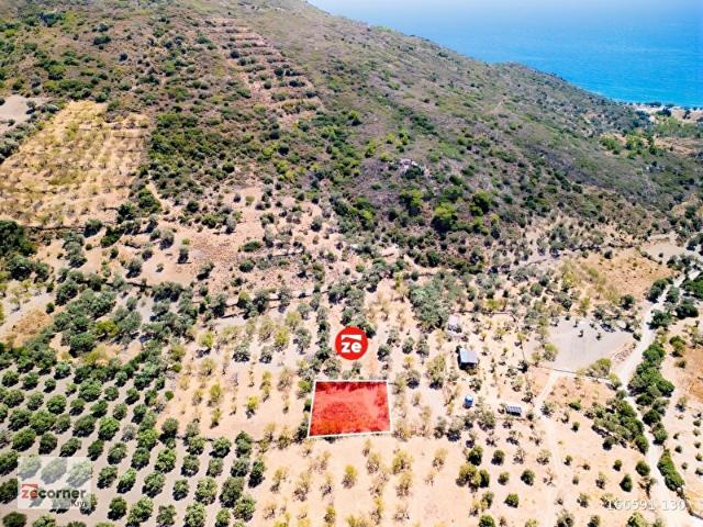 DATÇA BAĞLARÖZÜNDE DENİZE 700 m UZAKLIKTA 608 m SATILIK ARSA
