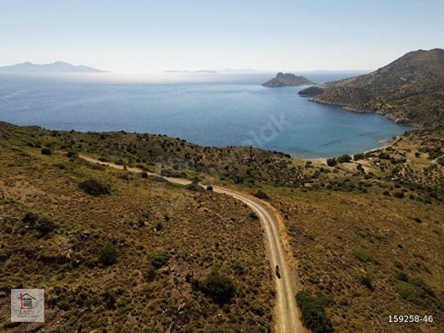 Datça Domuzini Koyu'nda Full Deniz Manzaralı Parsel