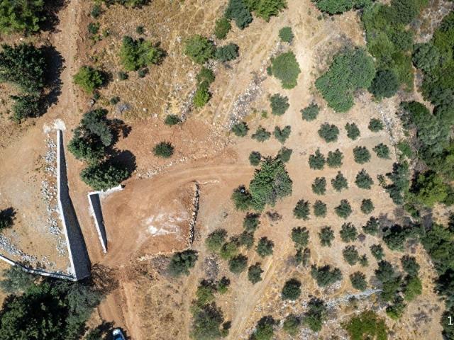 Datça Hızırşah'ta Satılık 916,40m2 Zeytinlik Tarla