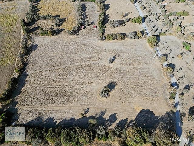Datça Kızlan'da yol cepheli denize 1.200 m 17 dönüm tarla