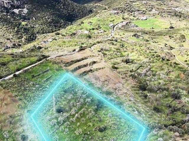 Datça karaköy'de denize yakın 9988 m2 yatırımlık tarla