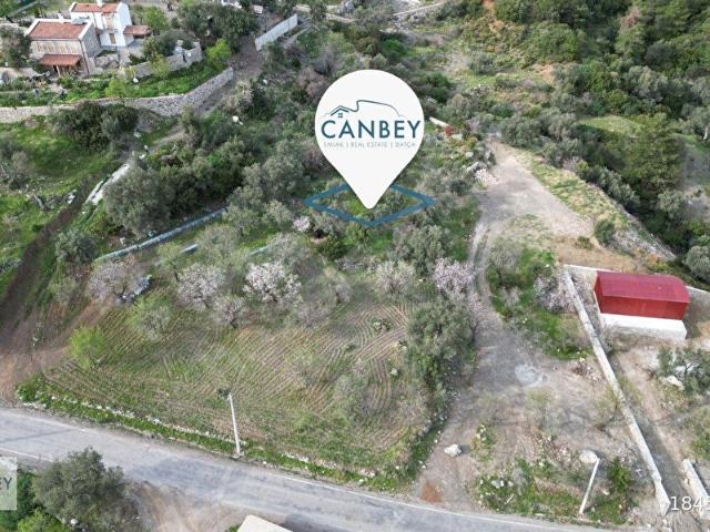 Datça Mesudiye Damarası'nda Deniz Manzaralı 2.544 m2 Zeytinlik