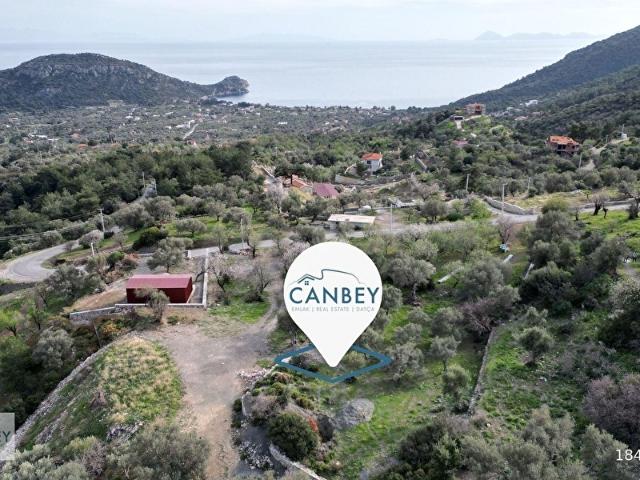 Datça Mesudiye Damarası'nda Deniz Manzaralı 2.544 m2 Zeytinlik