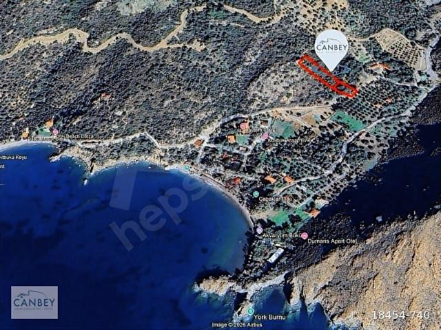 Datça Mesudiye Kızılbük'te denize 330 metre 3.345 m2 zeytinlik