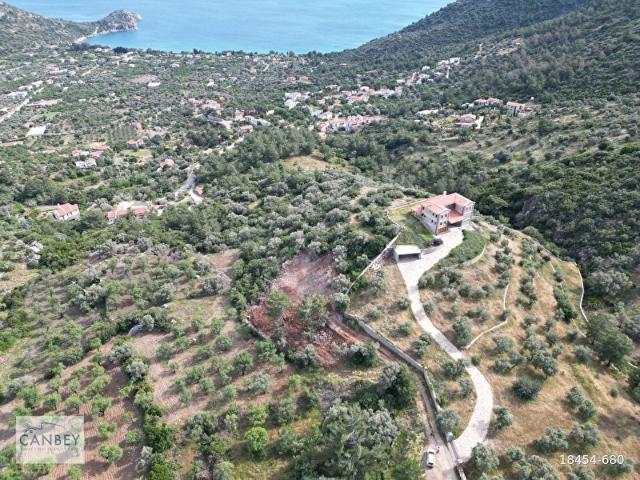 Datça Mesudiye'de deniz manzaralı 1.998 m2 zeytinlik