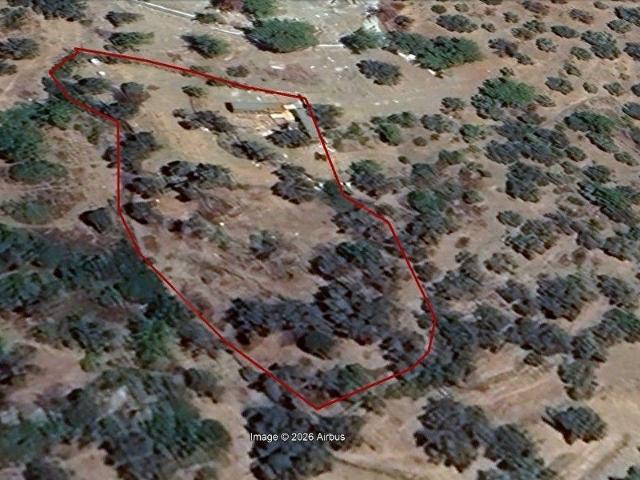DATÇA MESUDİYE DE DENİZ MANZARALI 2928m2 ZEYTİNLİK VE TINY HOUSE