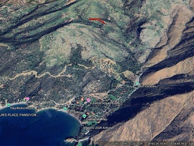DATÇA MESUDİYE'DE 2.867 M2 SATILIK ZEYTİNLİK