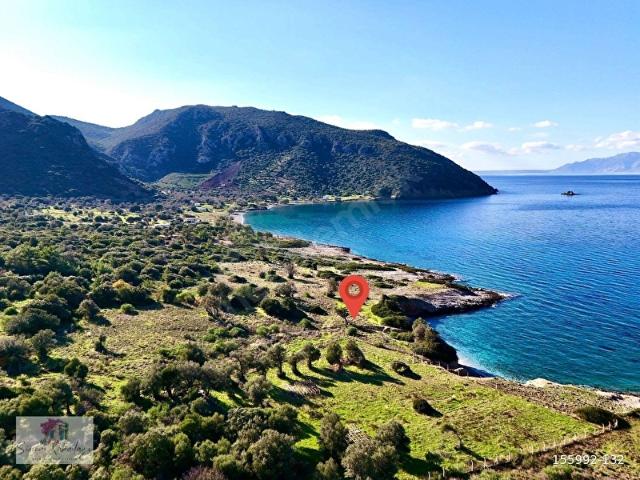 Datça, Murdala Koyunda 4.402 m2 Kendine Özel Koyu Bulunan Tarla