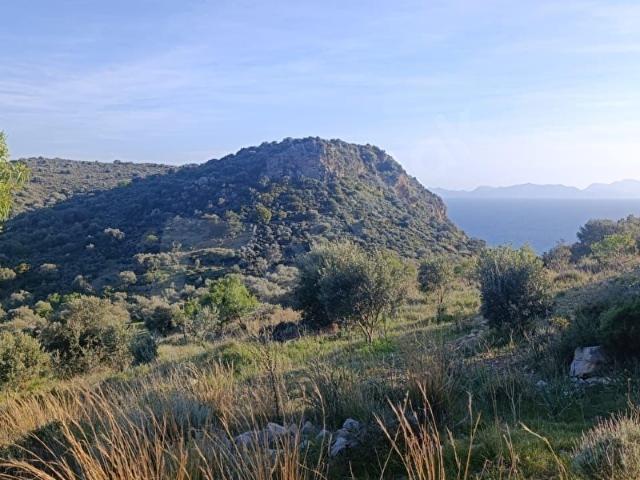 DATÇA PALAMUTBÜKÜ'NDE SATILIK ARAZİ DENIZ MANZARALI