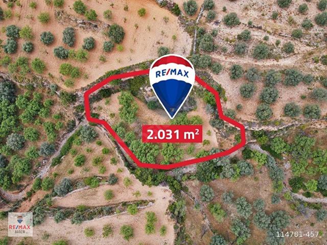 DATÇA SINDI ZEYTİNCİK'TE SATILIK ARAZİ