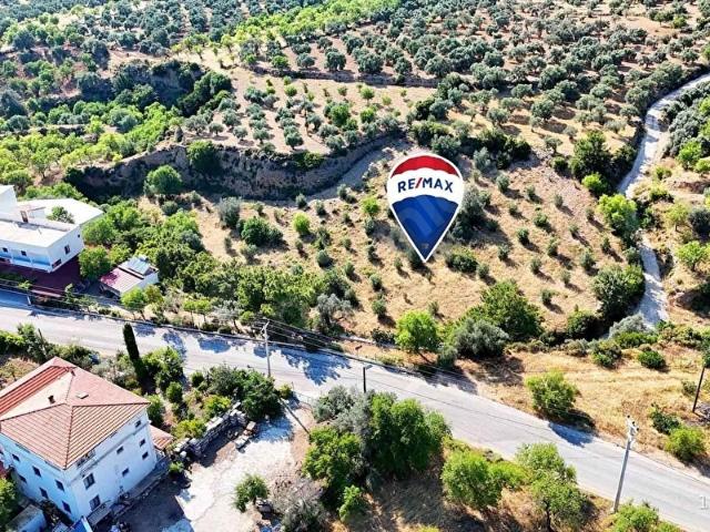 DATÇA SINDI KÖYÜNDE ANAYOLA YAKIN YATIRIM FIRSATI TARLA