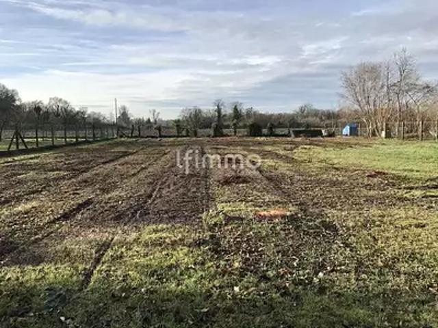 Daubensand 67150 Achat / Vente terrain