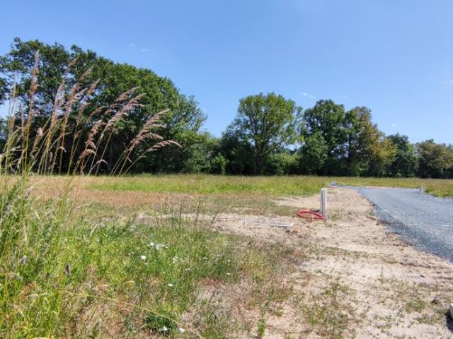 Daumeray Vente Terrain 49