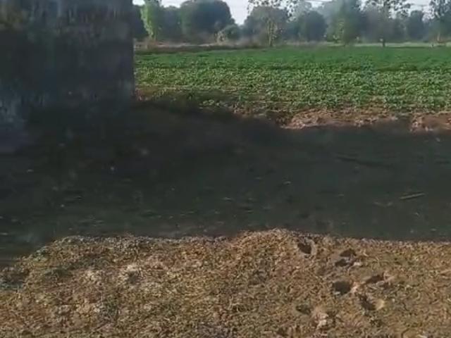 Dawar Railway Station On 180 Sq. Yd. Plot in Dadri Greater Noida Listing ID: #9665