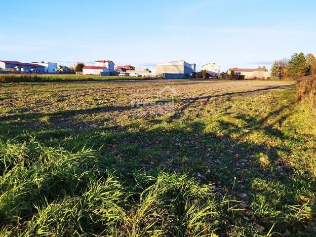 Dawidy, 4 492 m2