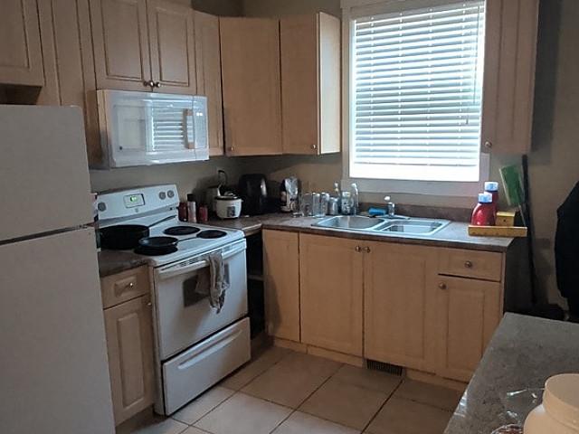 Daylight Basement Suite For Rent
