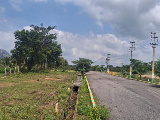 Dg Project 1470 Sq.Ft. Plot in Pillahalli Bangalore Listing ID: #9889