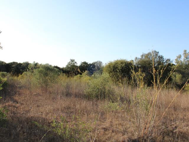 de 16.480 m2 p/ construção de outros usos Santarém, Almoster