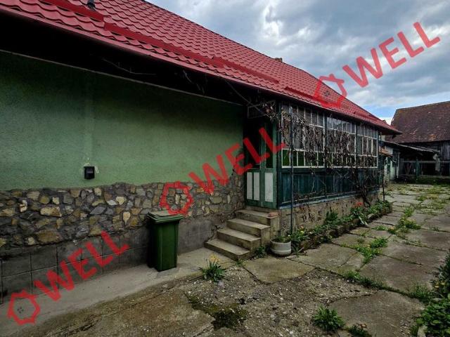 De vânzare casă familială în Căpeni!